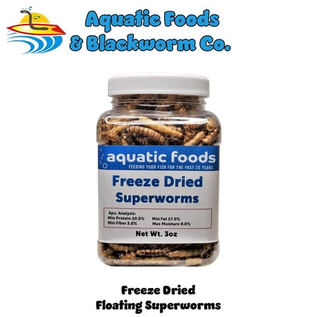 Superworms-- Freeze Dried Superworms for Tropical Fish, Reptiles, Turtles, Tortoises, Frogs, Hamsters, Birds, Rodents…3oz Small Jar