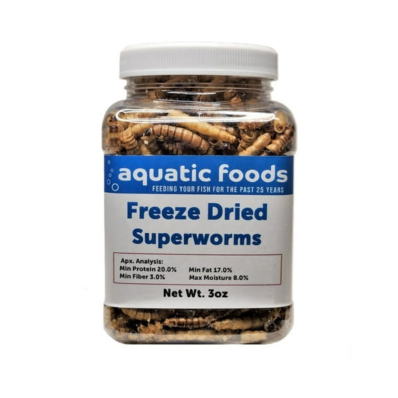 Superworms-- Freeze Dried Superworms for Tropical Fish, Reptiles, Turtles, Tortoises, Frogs, Hamsters, Birds, Rodents…3oz Small Jar