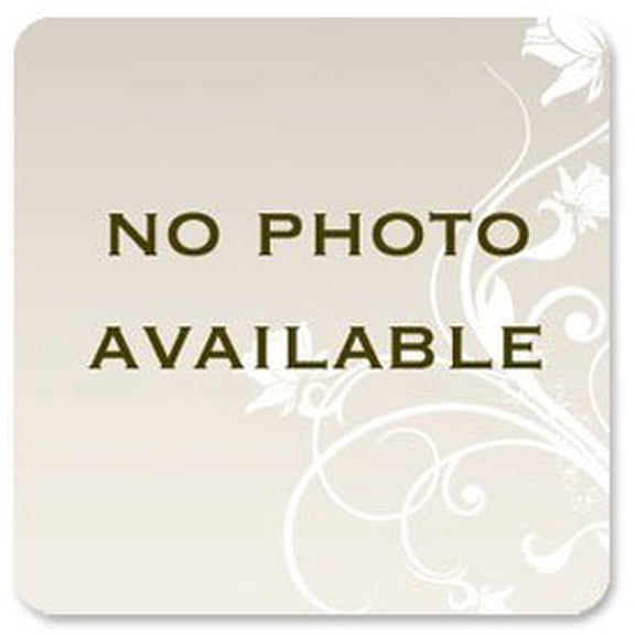 Pre-Owned Supplement to the Second Edition of Rodd's Chemistry of Carbon Compounds (Hardcover) 9780444421838