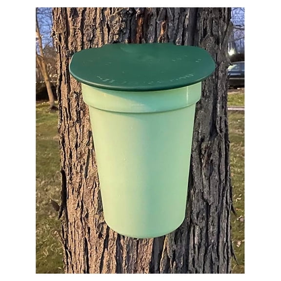 Supply 3-Pack of Plastic Buckets with Lids - for Making Maple Syrup