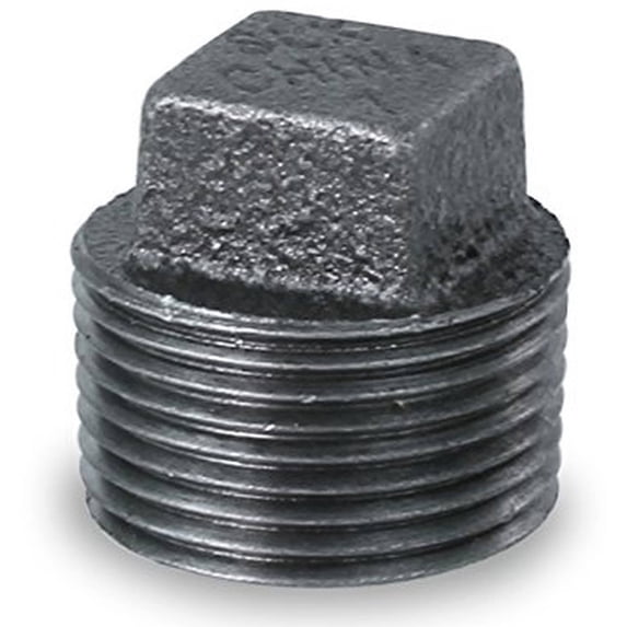 Supply Giant BMPL2000 Black Malleable Iron Plug with Square Head, 2"