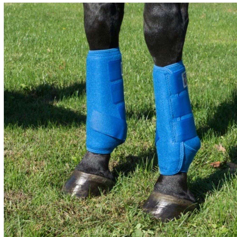 Support Horse Sport Boots Various Sizes And Colors Ideal For