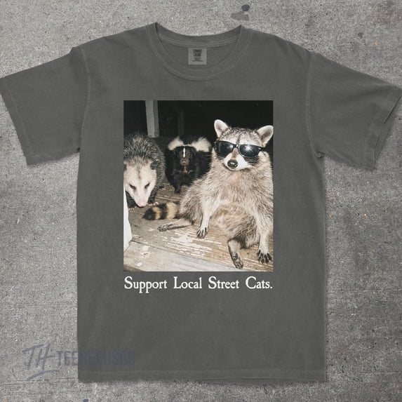 Support Local Street Cats Shirt, Funny Raccoon Skunk Possum T-Shirt, Retro Animal Lover Meme Tee, Vintage Style Comfort Colors® T-Shirt