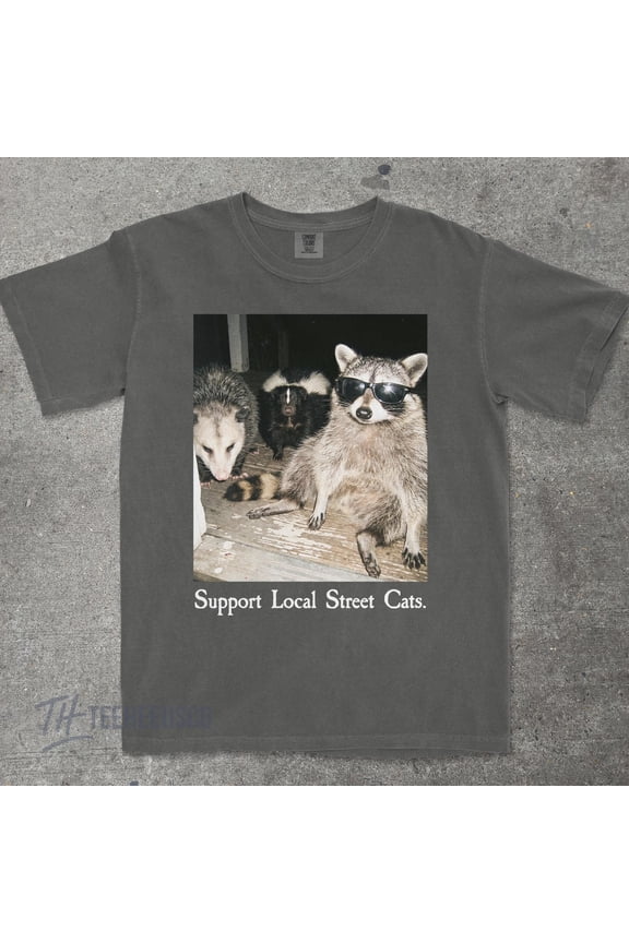 Support Local Street Cats Shirt, Funny Raccoon Skunk Possum T-Shirt, Retro Animal Lover Meme Tee, Vintage Style Comfort Colors® T-Shirt