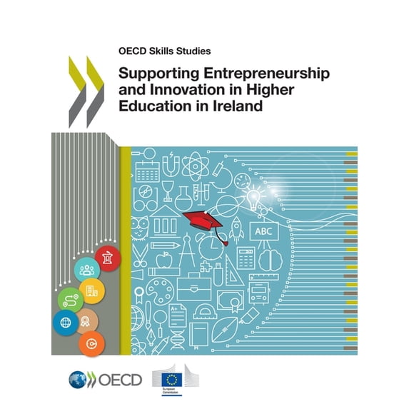 Supporting Entrepreneurship and Innovation in Higher Education in Ireland, (Paperback)