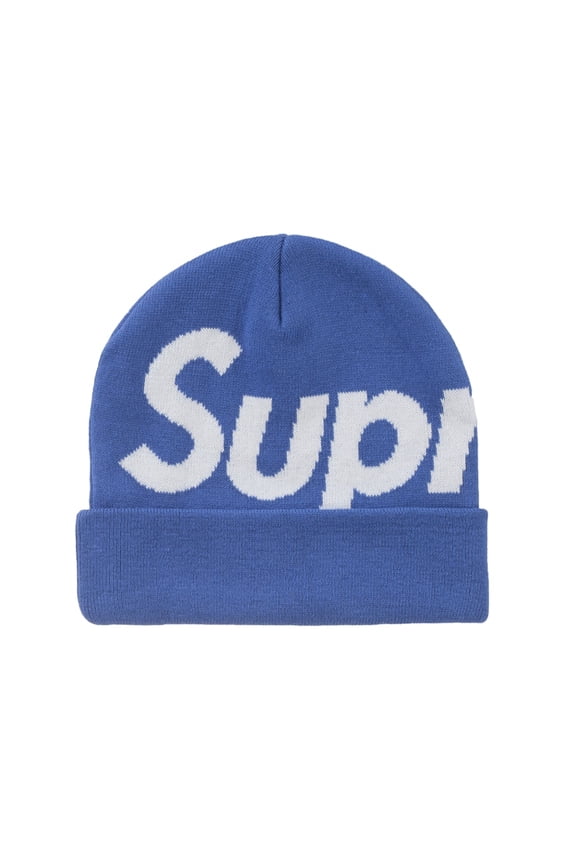 Big Logo Beanie (FW24), from StockX
