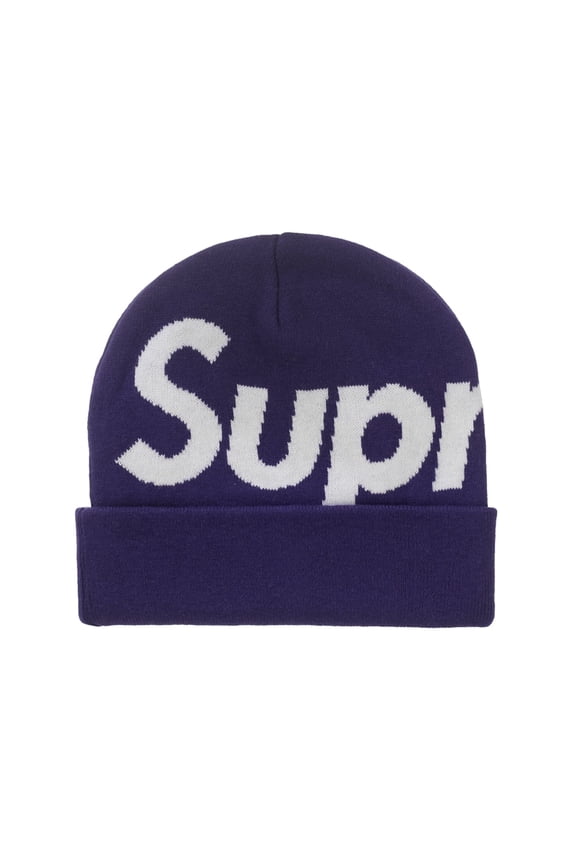Big Logo Beanie (FW25), from StockX