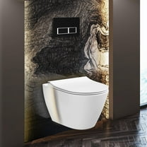 Supreme In-Wall toilet Combo Set - 20" Toilet Bowl With Soft-Close Seat, Tank And Carrier System, Push Buttons Included.