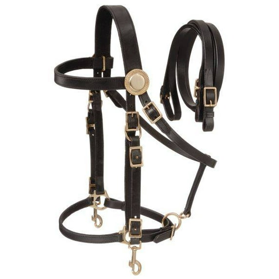 Tough 1 Australian Outrider Bridle Halter Leather Black 73-9805