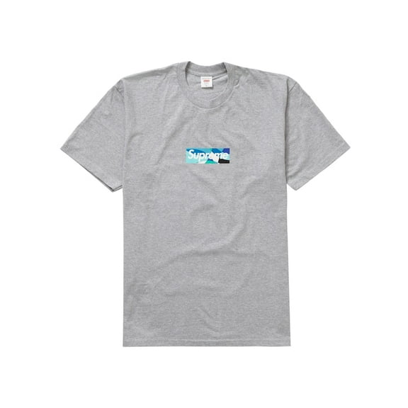 Supreme Men's Emilio Pucci Box Logo Tee Heather Grey/Blue, from StockX