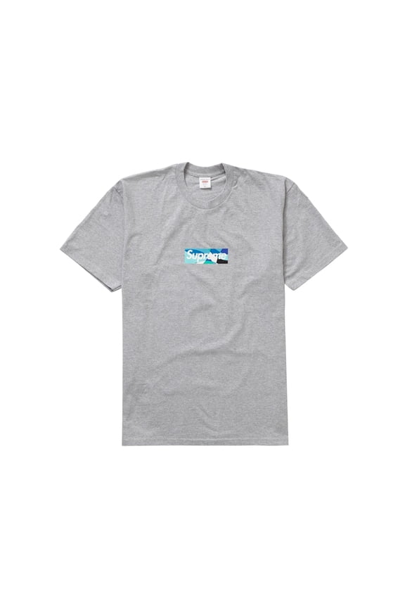 Men's Emilio Pucci Box Logo Tee Heather Grey/Blue, from StockX