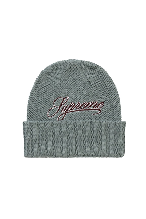 Script Logo Beanie, from StockX