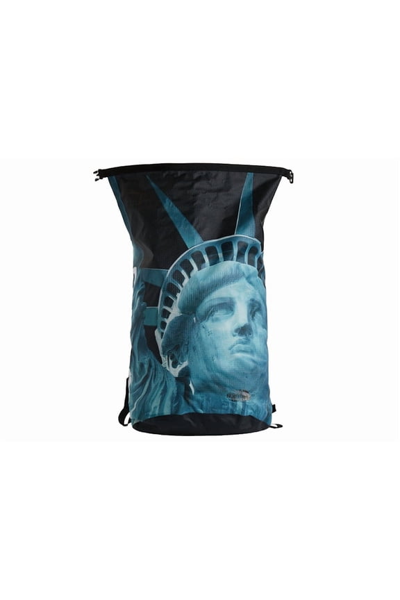The North Face Statue of Liberty Waterproof Backpack, from StockX