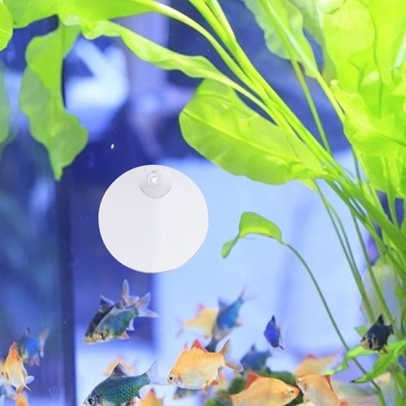 Supvox 3Pcs Betta Fish Tank Mirror with Suction Cup Clear Acrylic for Pet Entertainment and Easy Installation