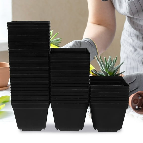 Supvox 50Pcs Succulent Plants Vase Black Plastic Pot for Garden and Business Use