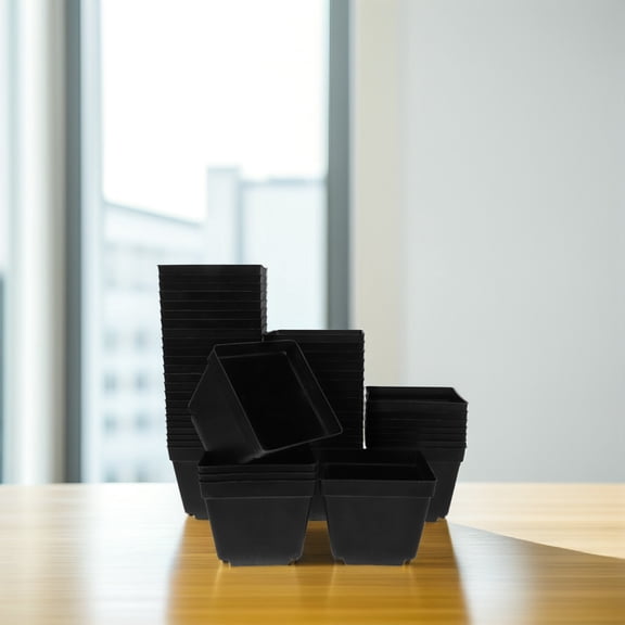 Supvox Black Succulent Plants Accessories for Home and Office 50Pcs