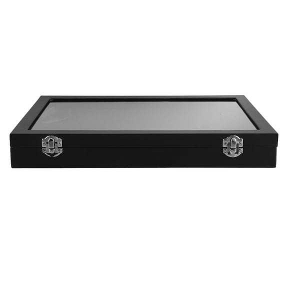 Supvox Collection Display Case Lapel Pin Display Case Black Acrylic 1Pack