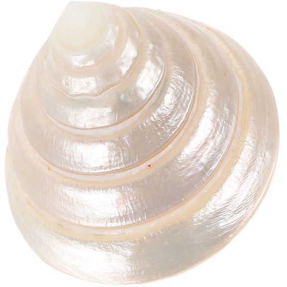 Supvox Figurine Desktop Ornament Shell Pendant Beige 1Set