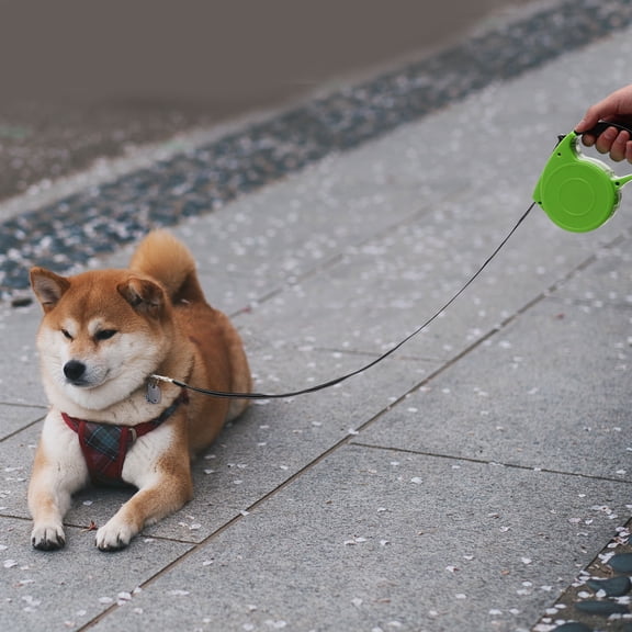 Supvox Dog Leash For Small Dogs Dog Leash Portable Green 1Pack