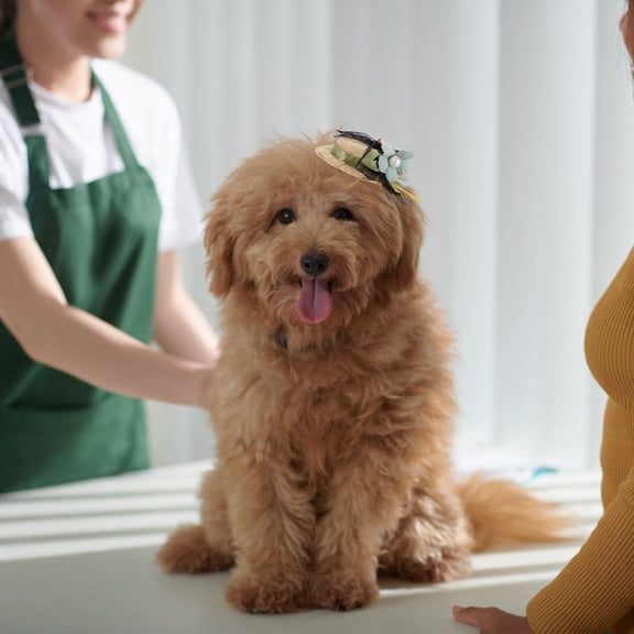 Supvox Dog and Cat Cute Hairpins with Flower Design Fashionable Pet Hair Clips for Daily Wear
