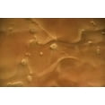 thumbnail image 1 of Metallic Pearl Pigments for High Gloss Epoxy Flooring. Blonde, 1 of 2