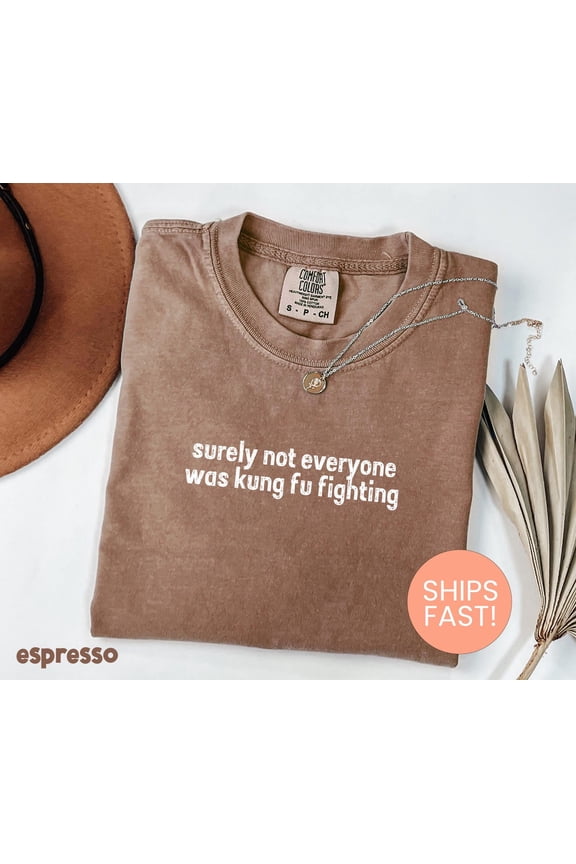 Surely Not Everyone Was Kung Fu Fighting Dad Father Day Gift T-Shirt