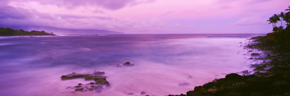 Surf along rocky coast Oahu Hawaii USA Canvas Art - Panoramic Images (27 x 9)