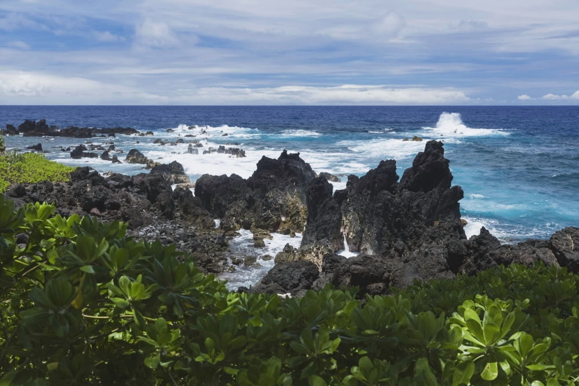Surf at lava rock shore in Laupahoehoe Point County Park on Hamakua Coast Island of Hawaii Hawaii United States of America Canvas Art - Alvis Upitis Design Pics (19 x 12)