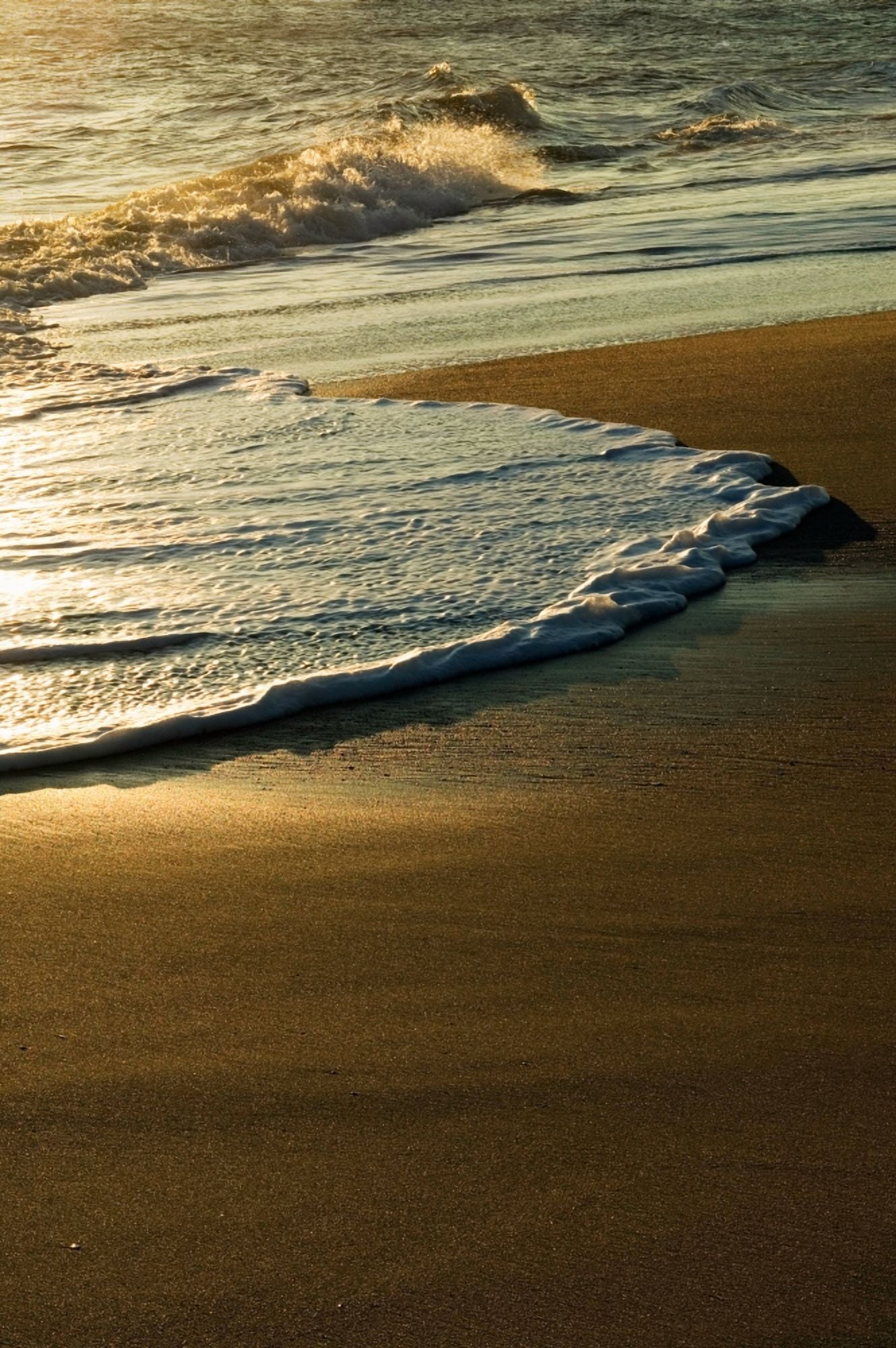 Surf on sandy beach sunrise light Outer Banks North Carolina USA Canvas Art - Panoramic Images (36 x 12)