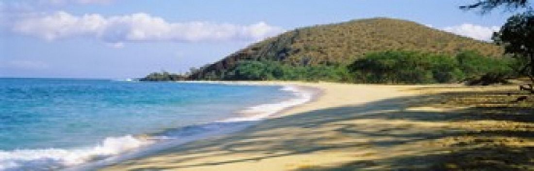 Surf on the beach Big Beach Makena Maui Hawaii USA Canvas Art - Panoramic Images (36 x 12)