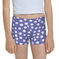 Easygdp Daisies Flowers Girls Hipster Cotton Underwear Little Girls