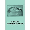 thumbnail image 1 of Surface-Feeding Sea Fish, 1 of 1