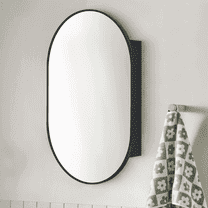 TEHOME black oval surface-mount medicine cabinet with mirror, metal frame, 20x30''