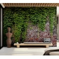 thumbnail image 1 of Surface Texture Wallpaper Wall Mural - Old Brick Wall With Ivy, 1 of 8