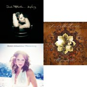 Surfacing & Wintersong & Mirrorball 180G [LP Vinyl Bundle]