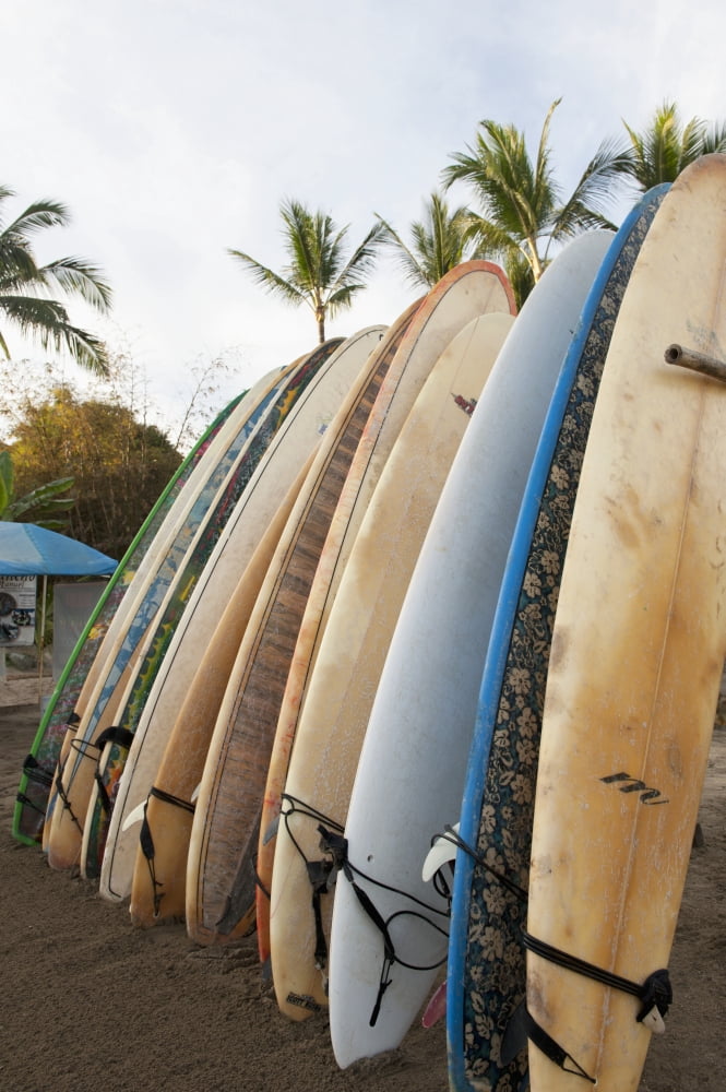 Surfboards Standing Up Against A Rack On The Beach Sayulita Mexico Canvas Art - Keith Levit Design Pics (24 x 38)