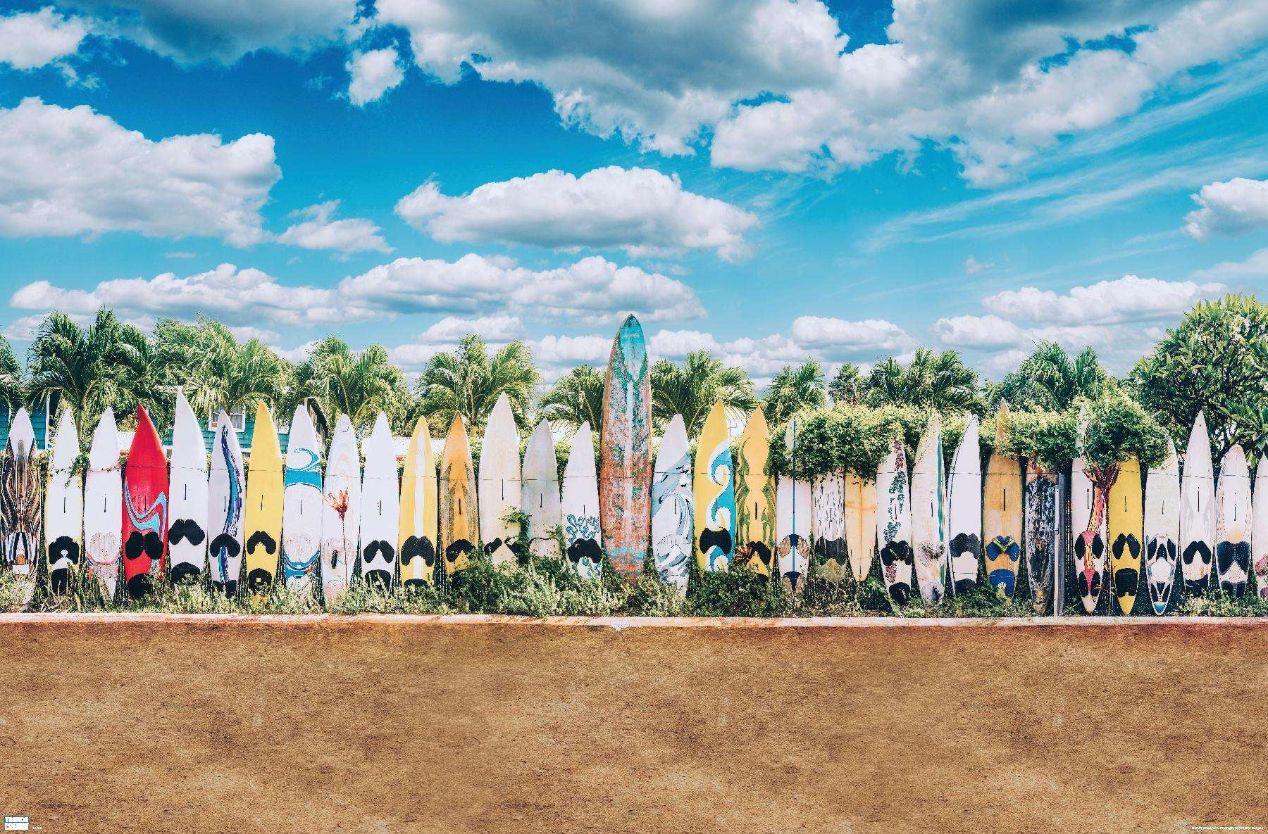 Surfboards in Maui, Hawaii Wall Poster, 14.725" x 22.375"