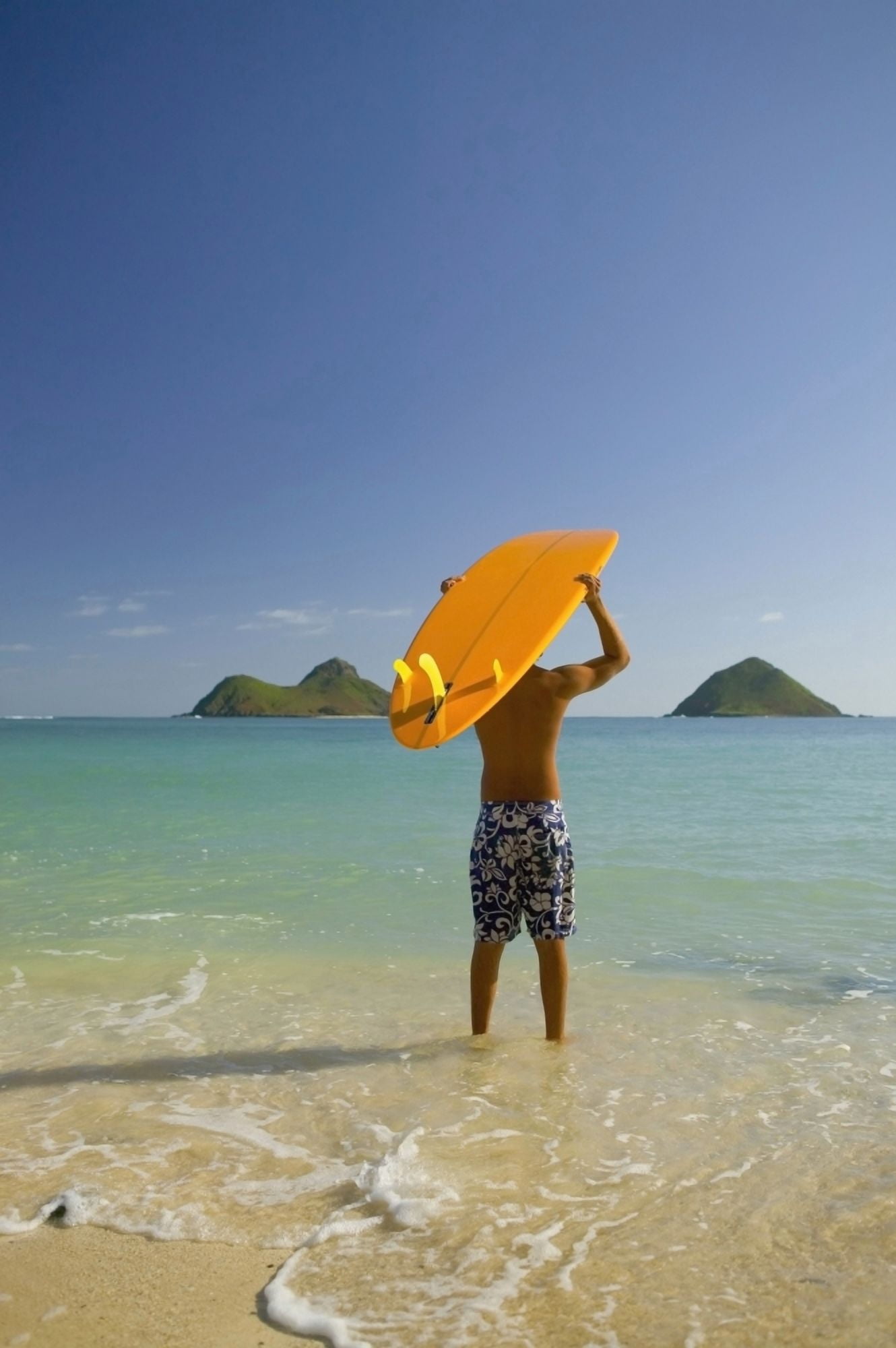 Surfer Walking Into The Water From The Beach With Board Over His Head Canvas Art - Dana Edmunds  Design Pics (22 x 36)