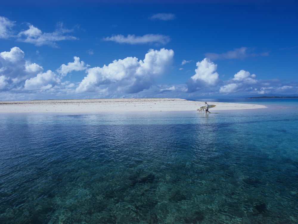 Surfer Walking With Dog On Tropical Island Canvas Art - Chris Martin Design Pics (34 x 26)