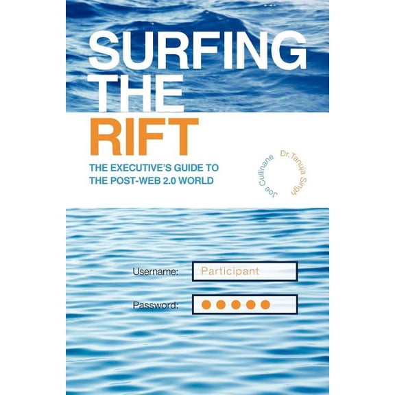 Surfing the Rift : The Executive's Guide to the Post-web 2.0 World
