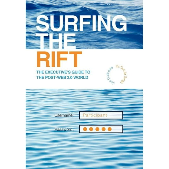 Surfing the Rift : The Executive's Guide to the Post-web 2.0 World