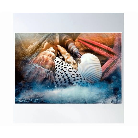 Surfside 2 Poster Wall Art Modern Wall Decor