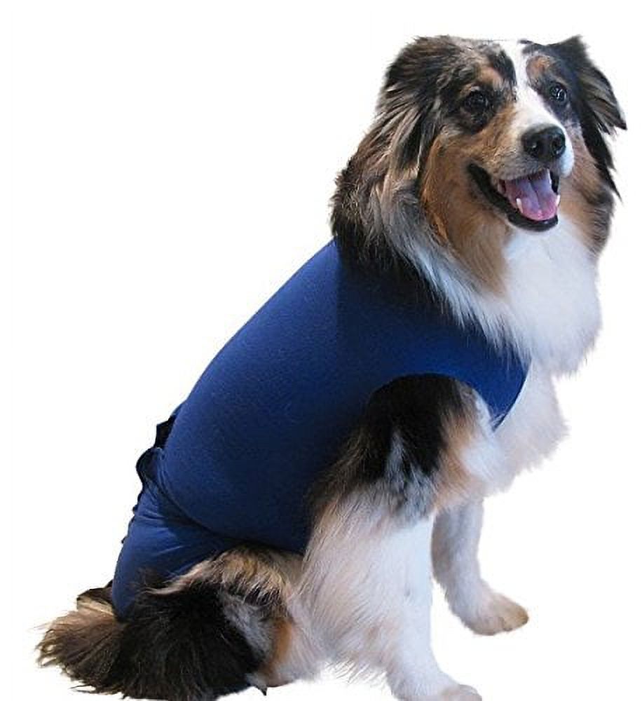 SurgiSnuggly Dog Recovery Suit PostSurgery for Dogs, Female Spay, Male