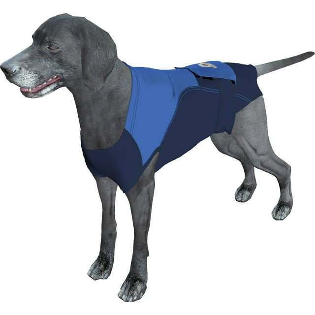 SurgiSnuggly E Collar Alternative Cone for Dogs After Surgery, It's