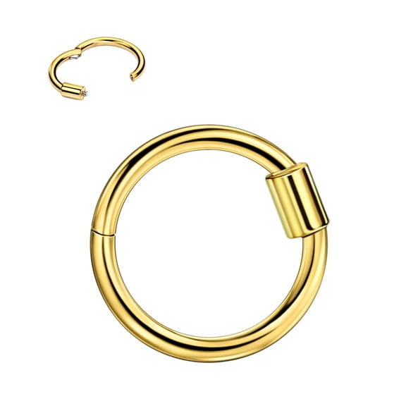 Surgical Steel Daith Earrings for Women 16 Gauge Helix Cartilage Ear Piercing Hoop 8mm Septum Jewelry Silver 16g 8mm Hinged Septum Ring Gold