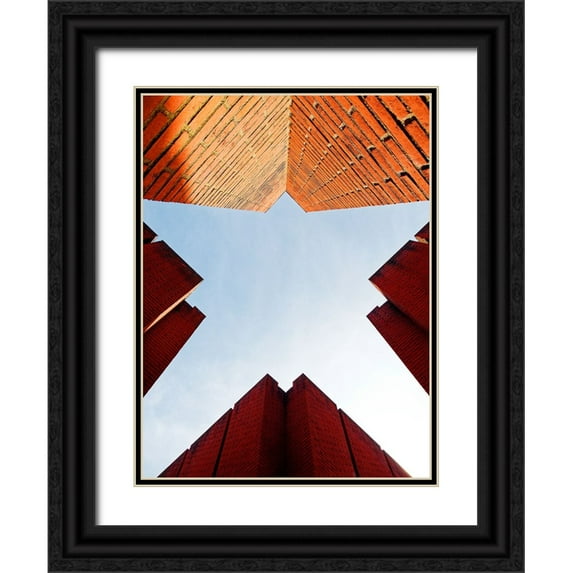Surleac, Marius 15x18 Black Ornate Wood Framed with Double Matting Museum Art Print Titled - Its a Bird... Its a Plane... Its...