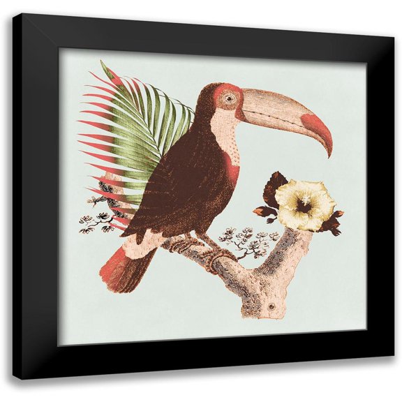 Surma 12x12 Black Modern Framed Museum Art Print Titled - Tropical Toucan
