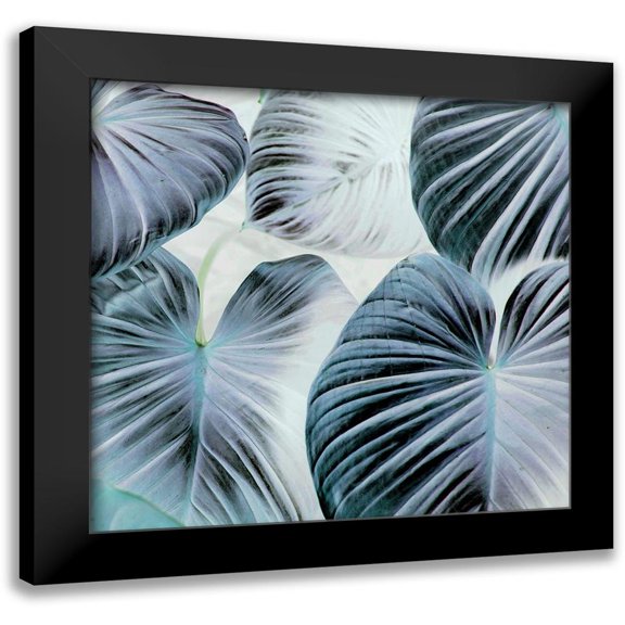 Surma, Agata 12x12 Black Modern Framed Museum Art Print Titled - Botanic Blues
