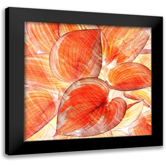 Surma, Agata 12x12 Black Modern Framed Museum Art Print Titled - Botanic Oranges