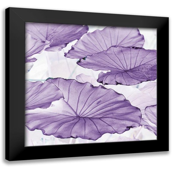 Surma, Agata 12x12 Black Modern Framed Museum Art Print Titled - Botanicals